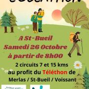 Affiche telethon 2024