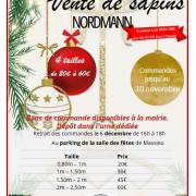 Affiche vente de sapins 6 decembre 2024 sou des ecoles