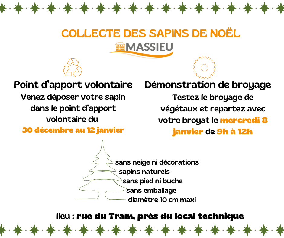 Collecte des sapins